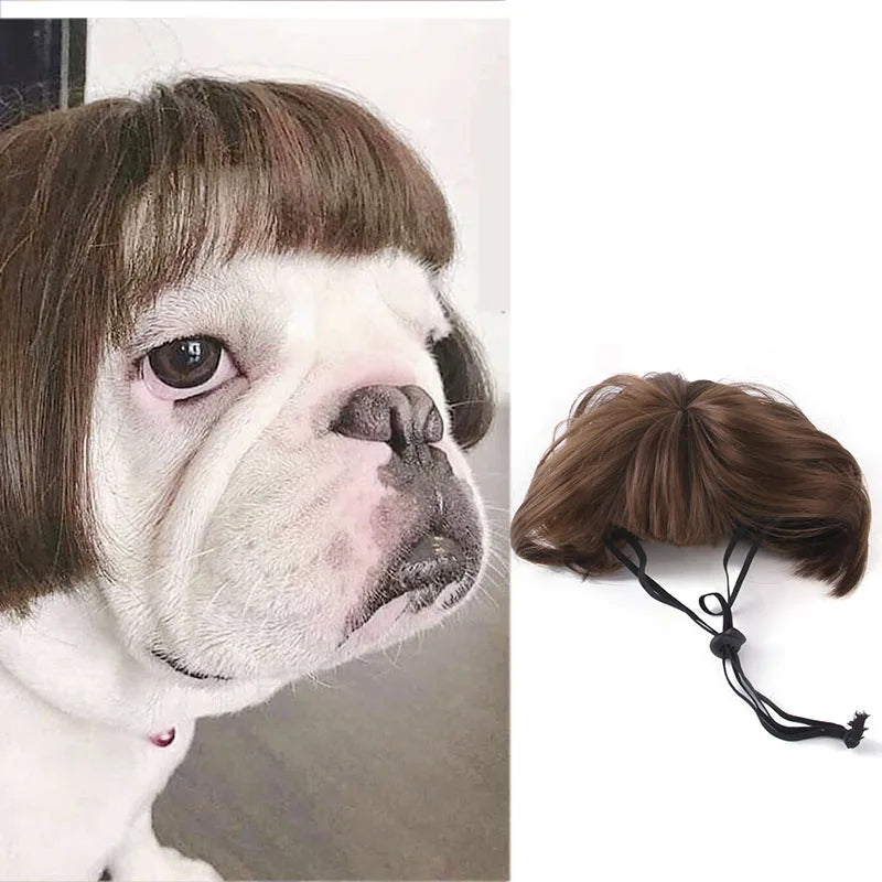 Pet Wig Cosplay Costume — Funny Hair Prop for Dogs & Cats