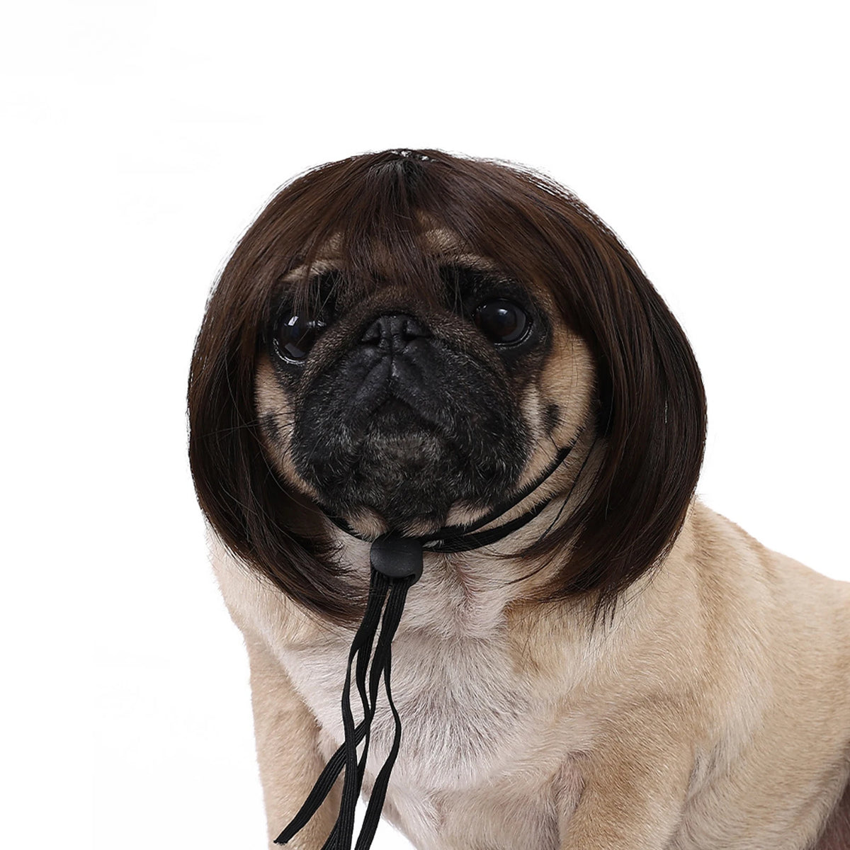 Funny Pet Cosplay Wig — Short Costume Wig for Dogs & Cats