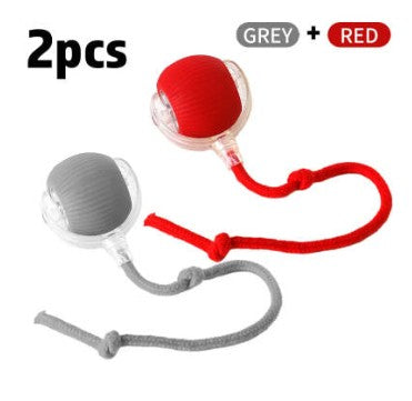 Interactive PET Toy Ball Super Drive Cat Rolling Ball