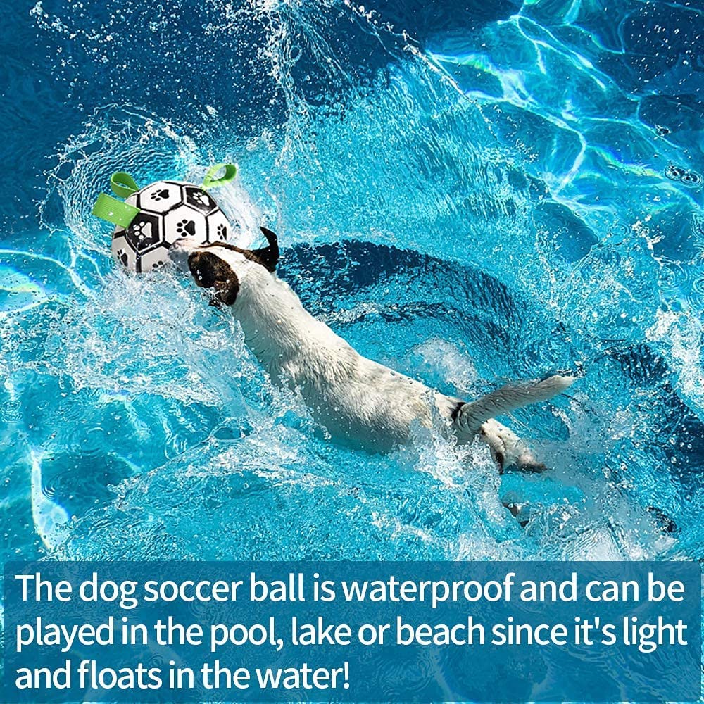 Toy For Dogs