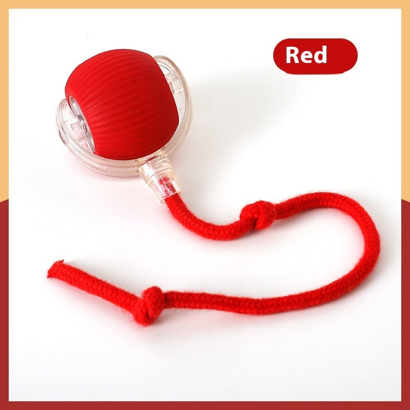 Interactive PET Toy Ball Super Drive Cat Rolling Ball