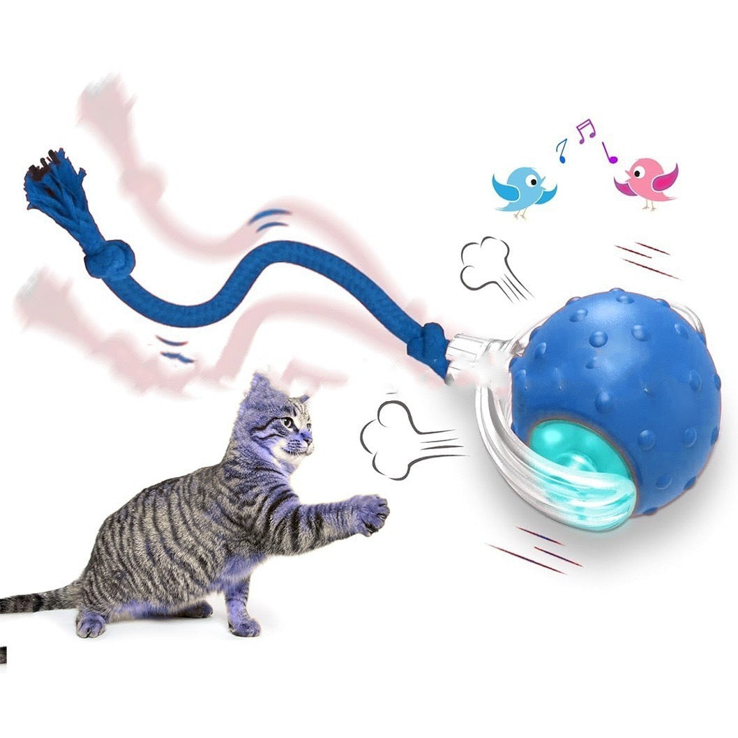Interactive PET Toy Ball Super Drive Cat Rolling Ball
