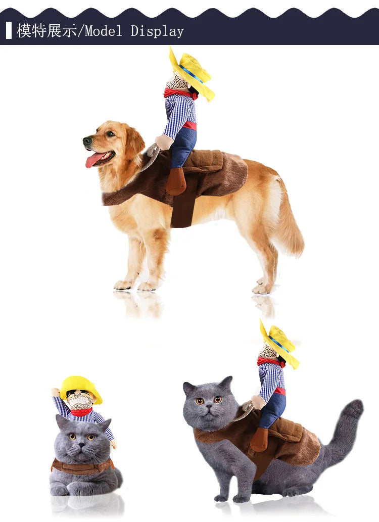Cowboy Rider Dog Costume
