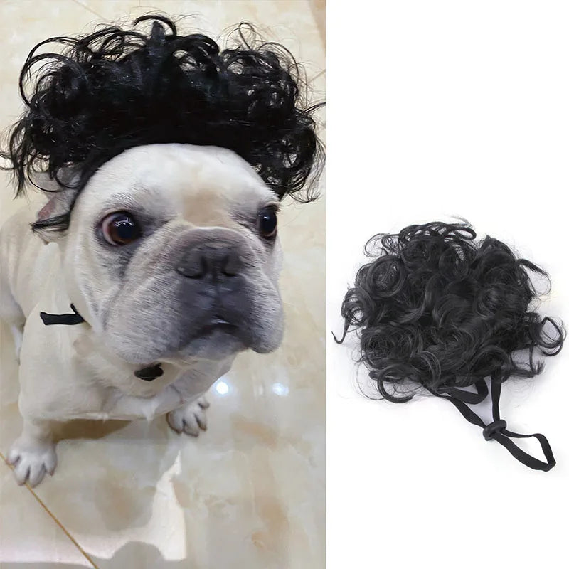Pet Wig Cosplay Costume — Funny Hair Prop for Dogs & Cats