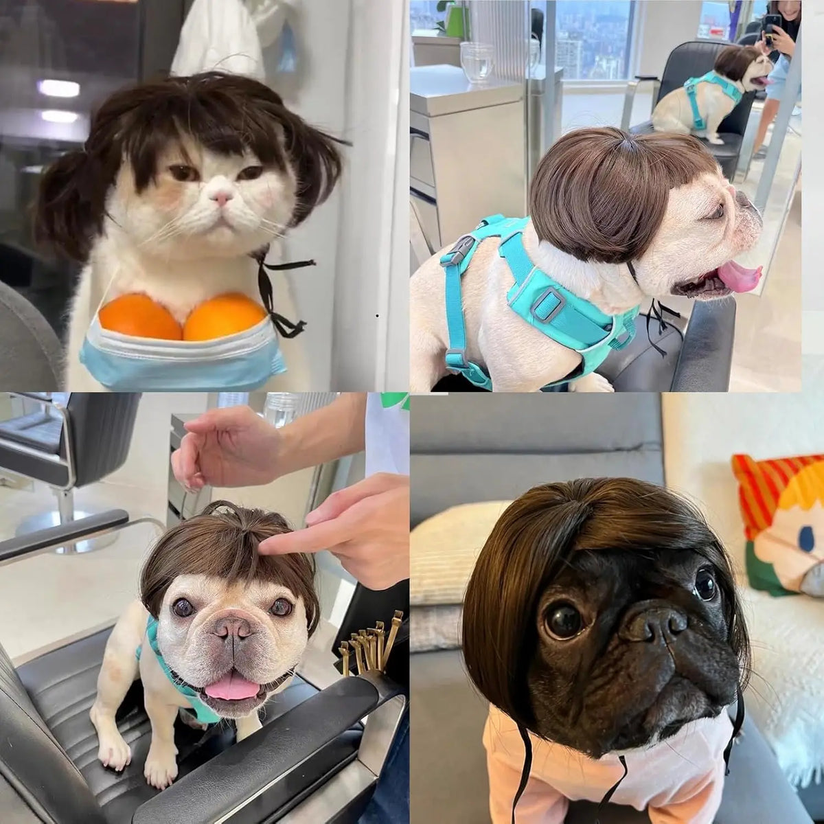 Funny Pet Cosplay Wig — Short Costume Wig for Dogs & Cats