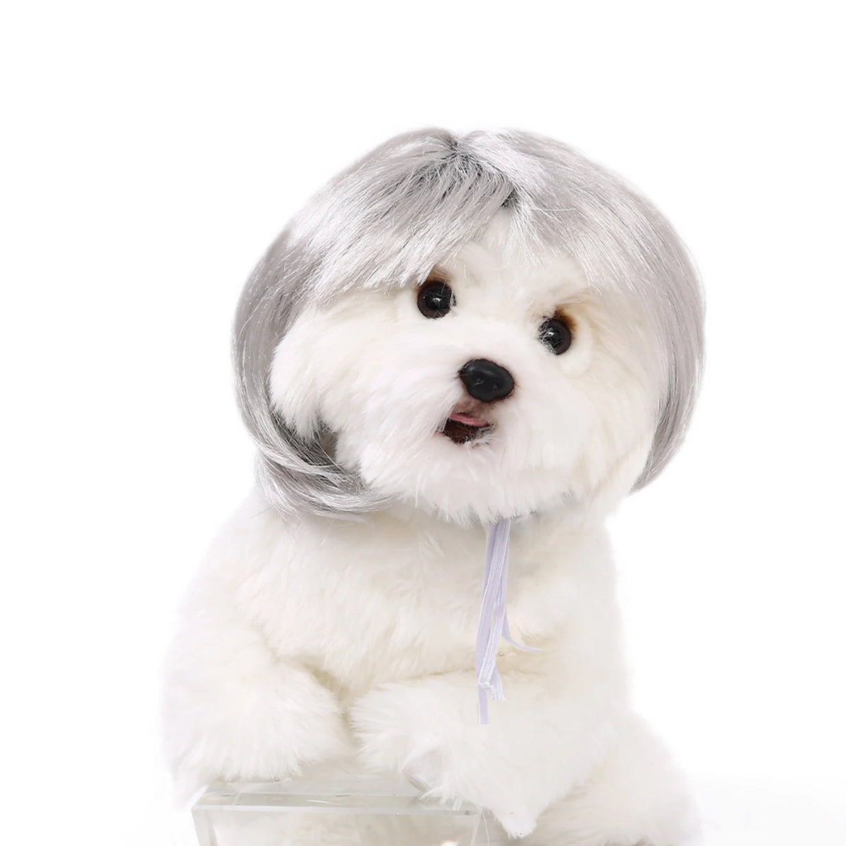 Funny Pet Cosplay Wig — Short Costume Wig for Dogs & Cats