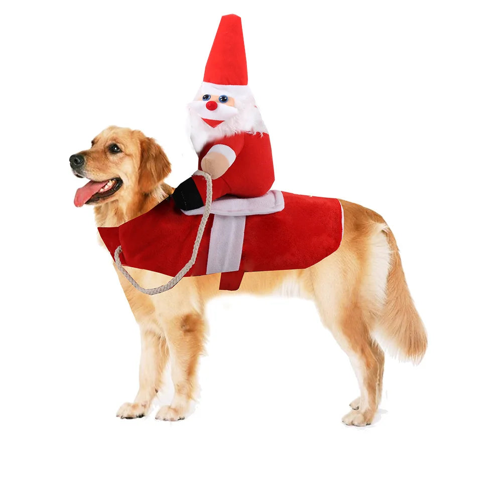 Cowboy Rider Dog Costume