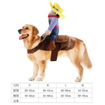 Cowboy Rider Dog Costume
