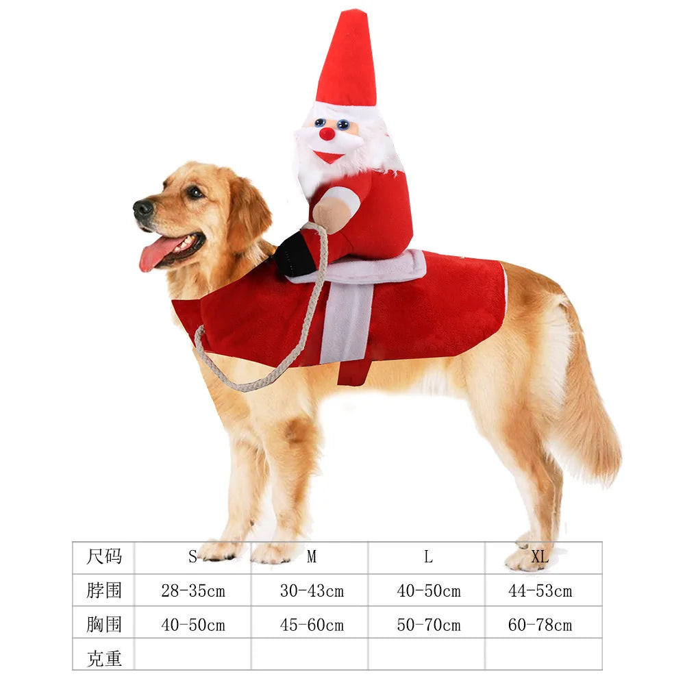 Cowboy Rider Dog Costume