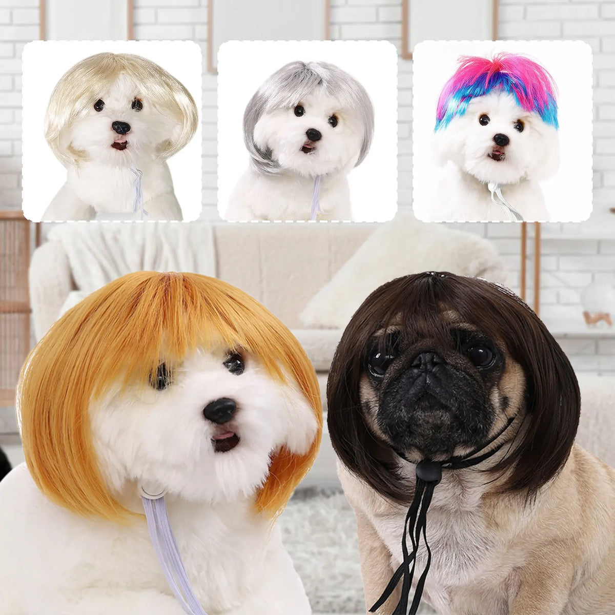 Funny Pet Cosplay Wig — Short Costume Wig for Dogs & Cats