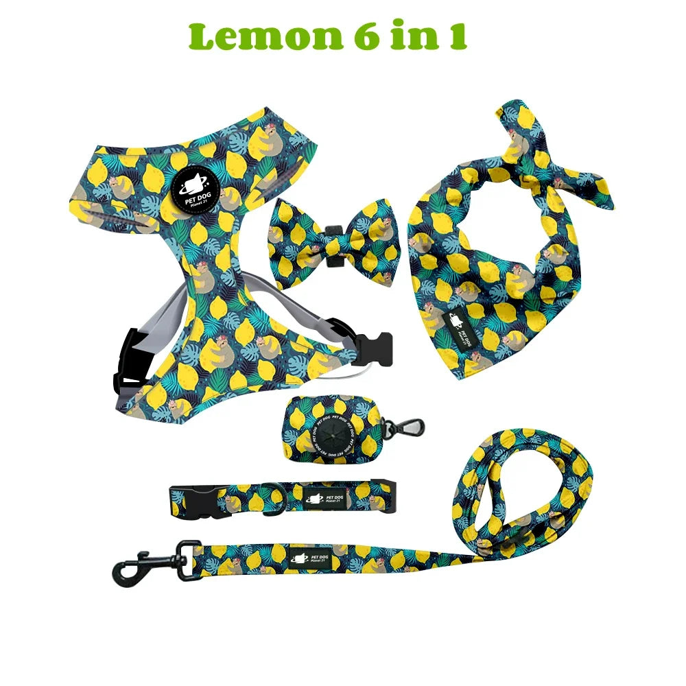 Personalized Dog Harness Suit Set — Vest, Collar, Leash, Scarf & More