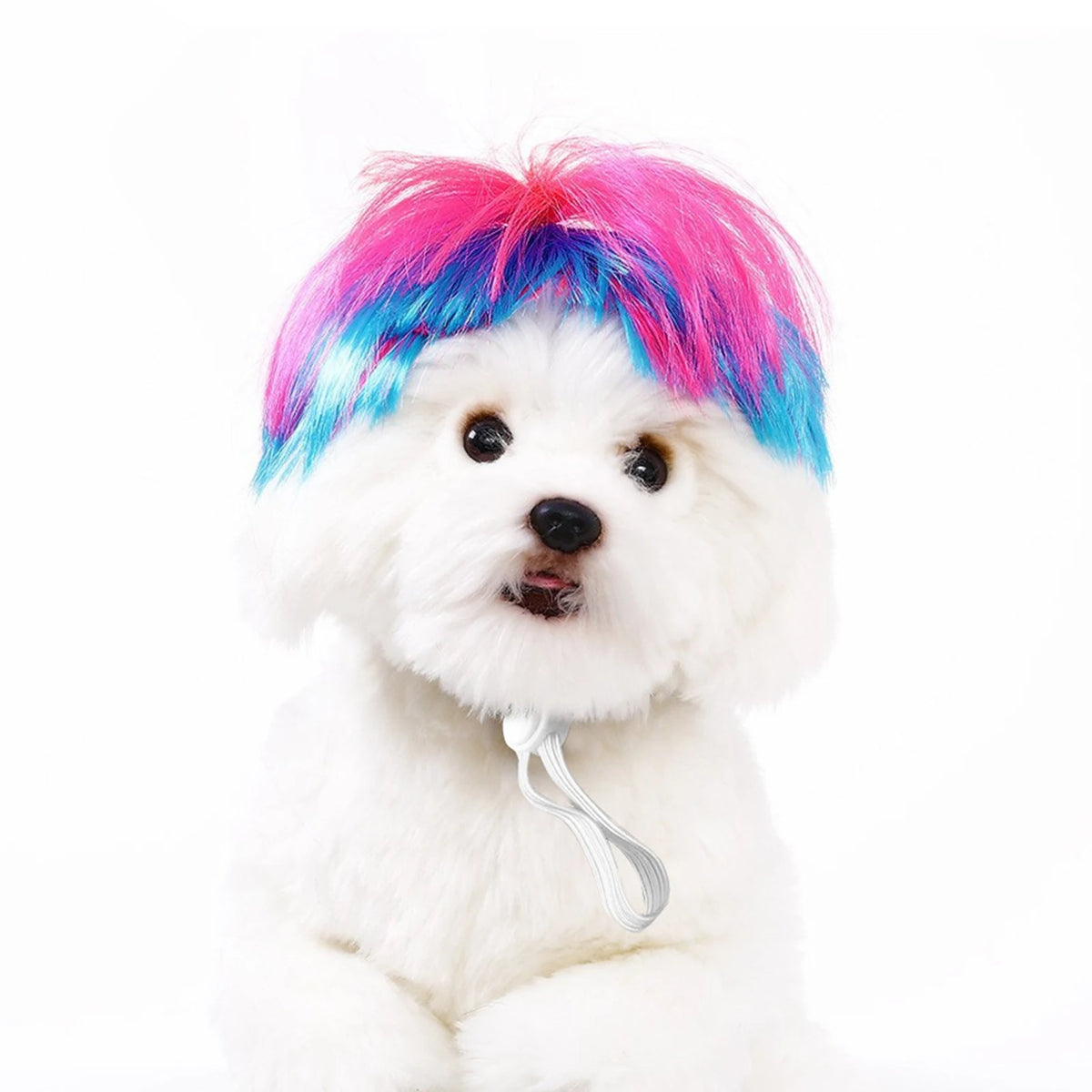 Funny Pet Cosplay Wig — Short Costume Wig for Dogs & Cats