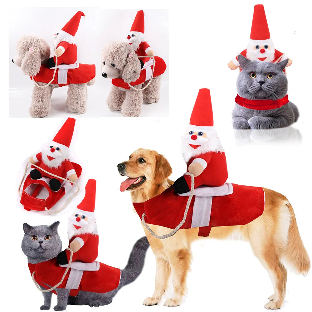 Cowboy Rider Dog Costume