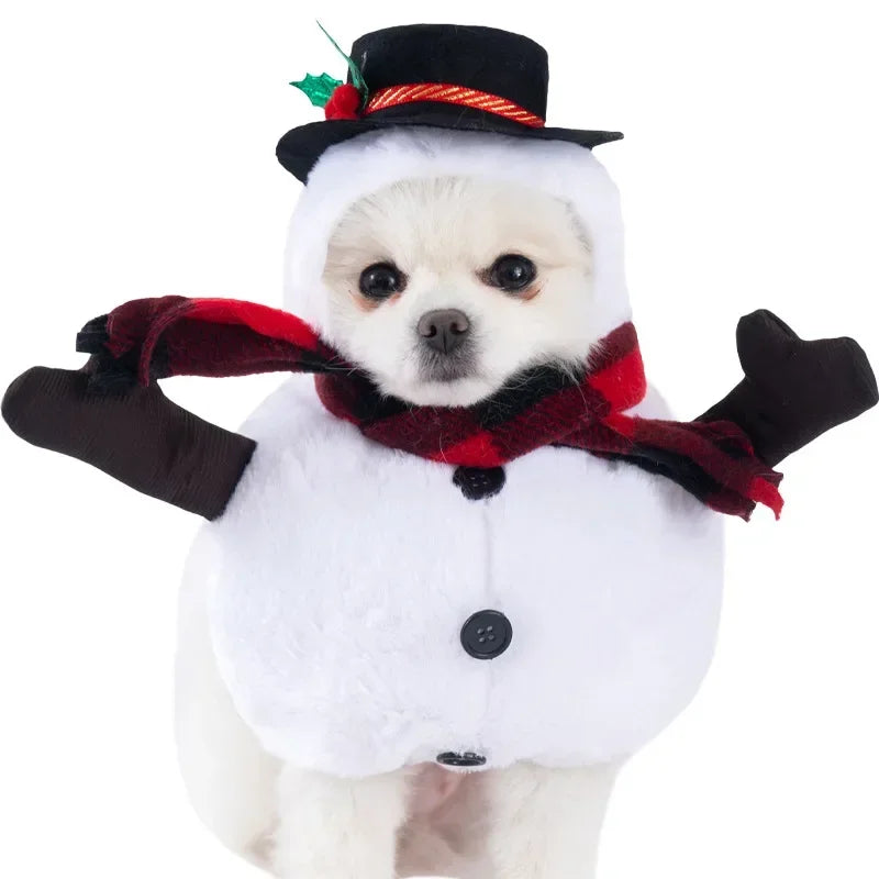 Halloween 3-Piece Dog & Cat Costume Set