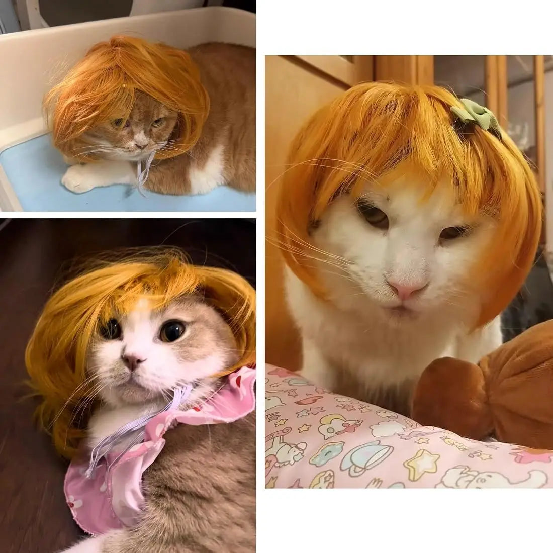 Funny Pet Cosplay Wig — Short Costume Wig for Dogs & Cats