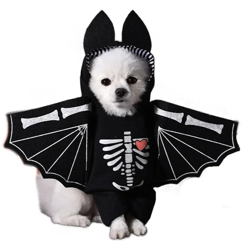 Halloween 3-Piece Dog & Cat Costume Set