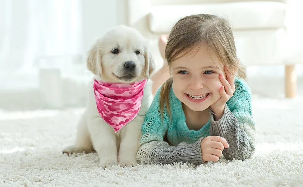 Personalized Dog Harness Suit Set — Vest, Collar, Leash, Scarf & More