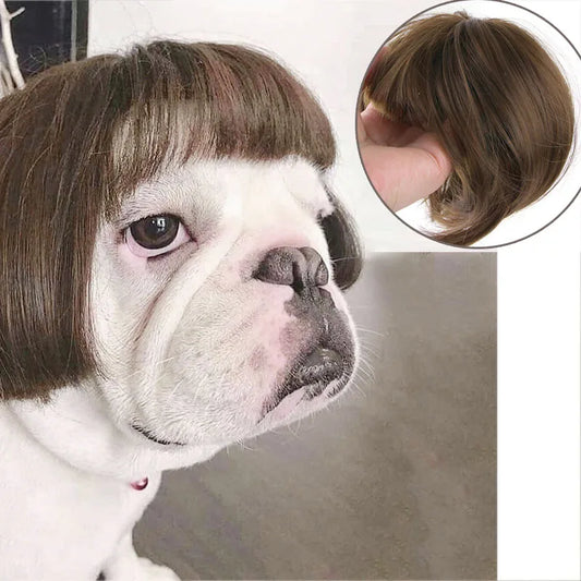 Pet Wig Cosplay Costume — Funny Hair Prop for Dogs & Cats