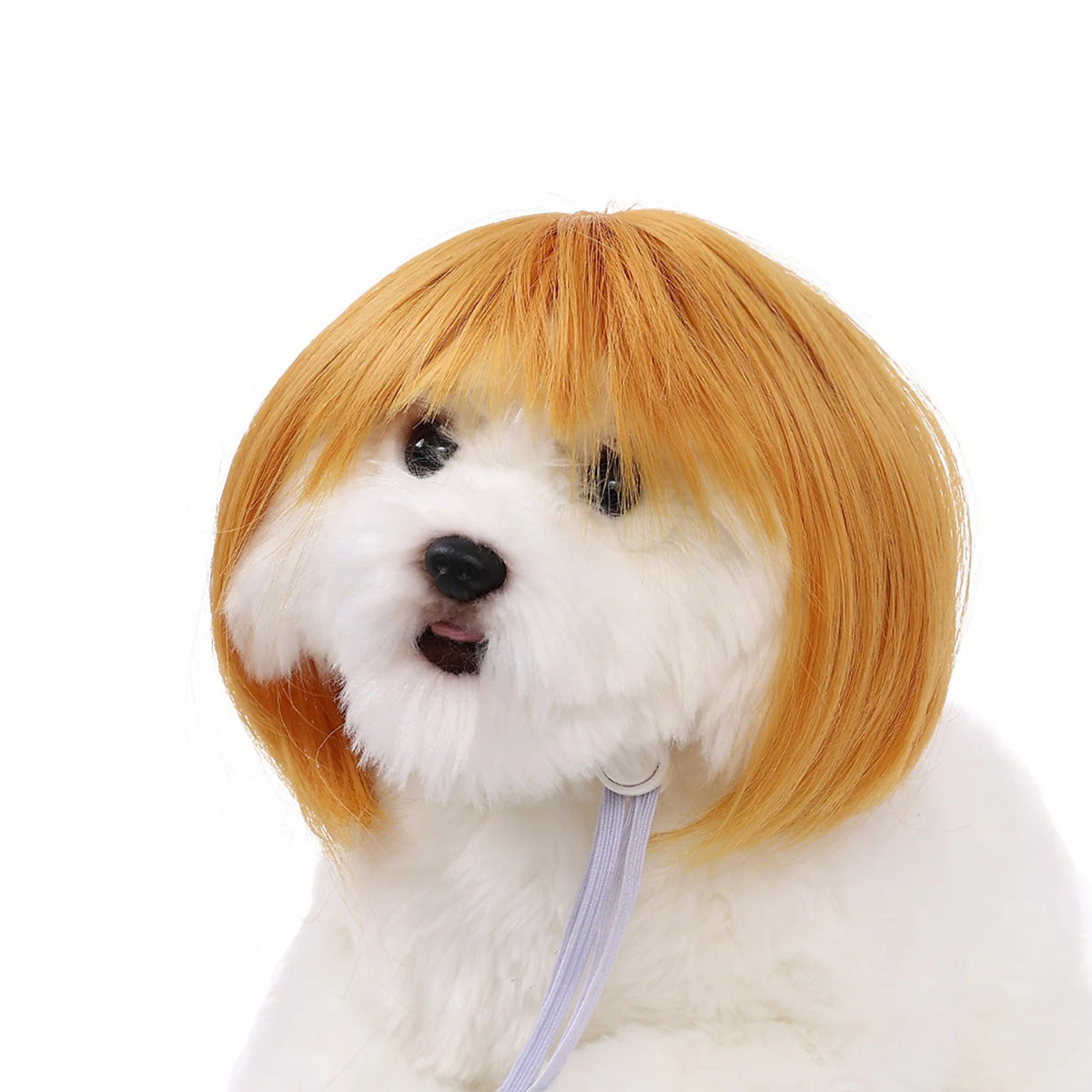 Funny Pet Cosplay Wig — Short Costume Wig for Dogs & Cats
