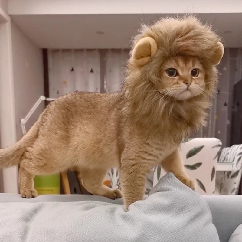 Cute Lion Mane Hat for Cats & Small Dogs — Funny Pet Headgear