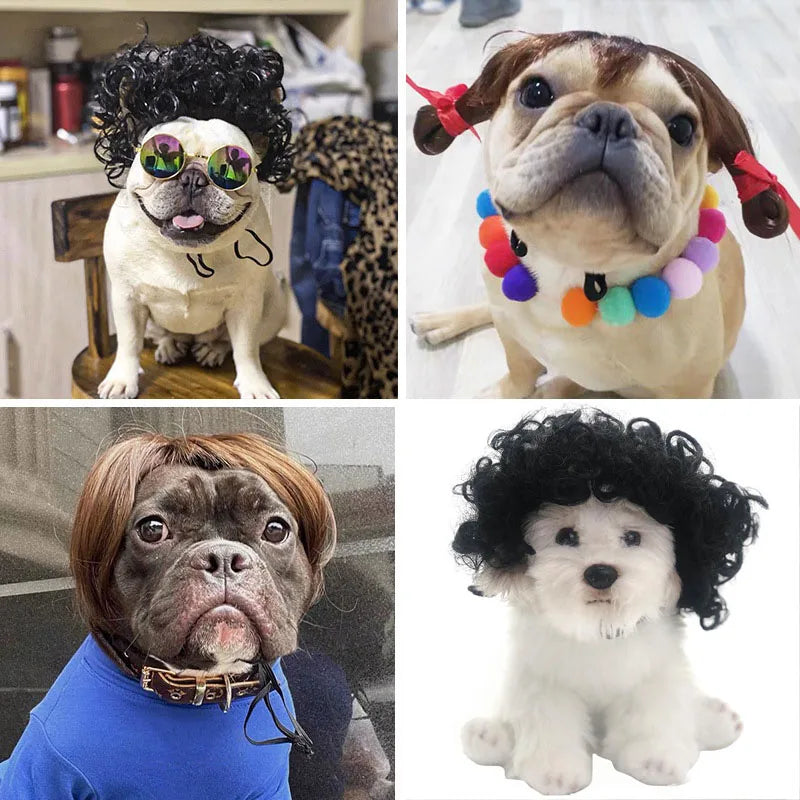 Pet Wig Cosplay Costume — Funny Hair Prop for Dogs & Cats