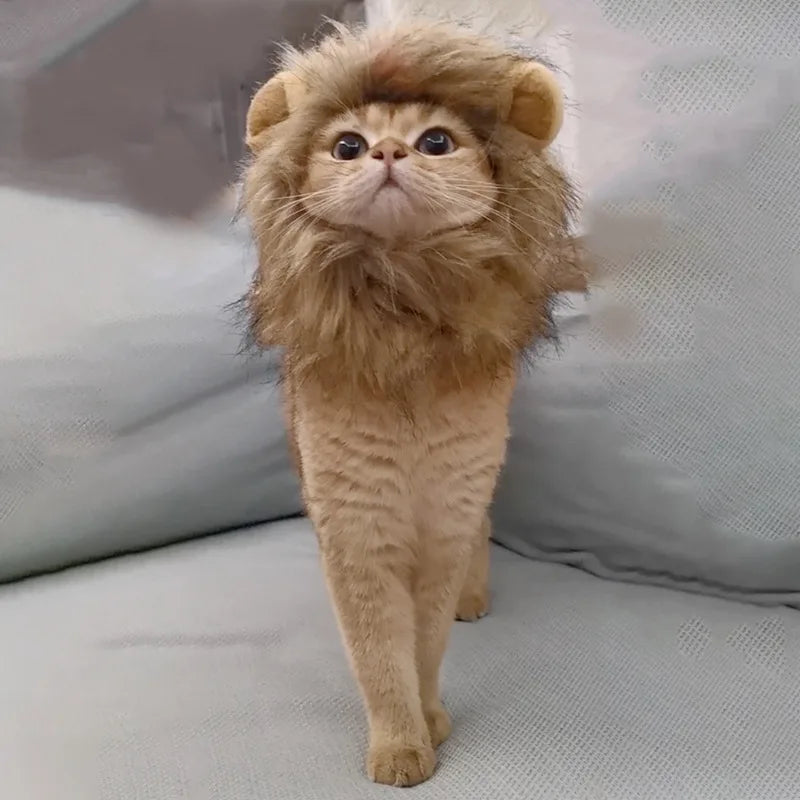 Cute Lion Mane Hat for Cats & Small Dogs — Funny Pet Headgear