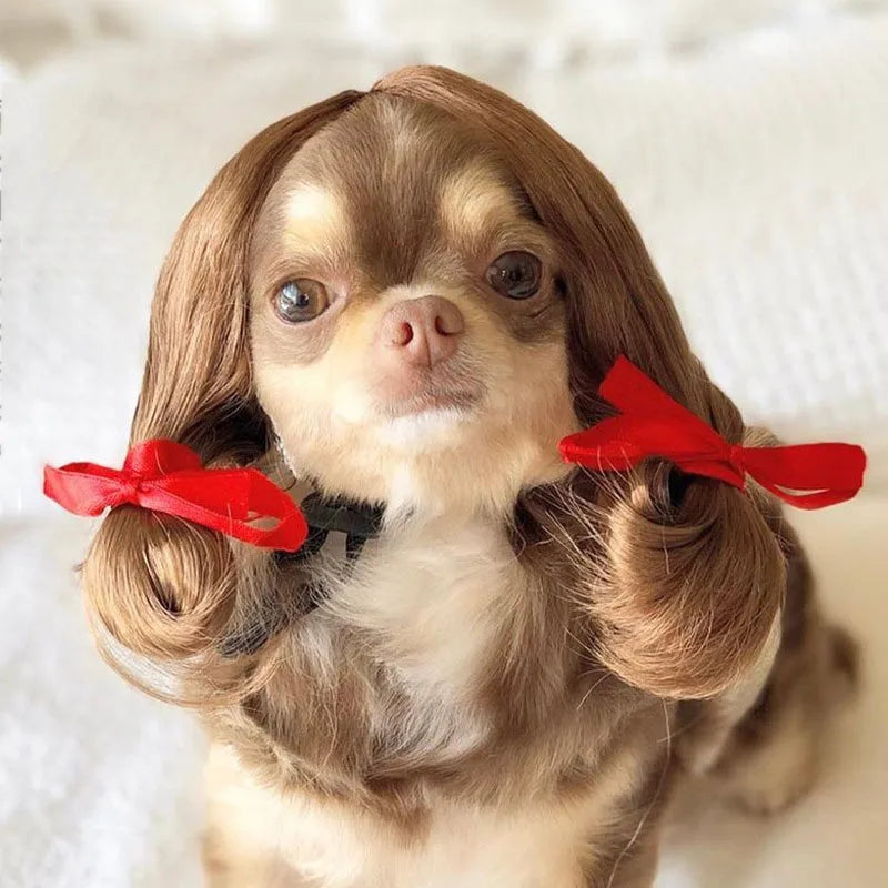 Pet Wig Cosplay Costume — Funny Hair Prop for Dogs & Cats