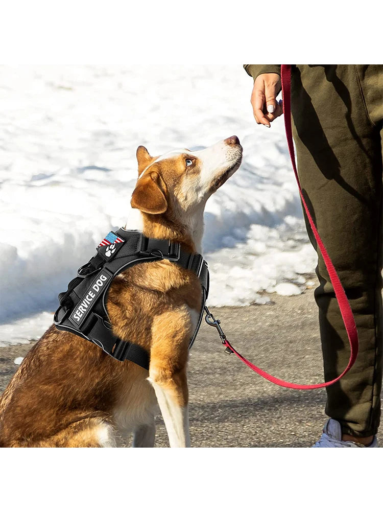 Service Dog Harness, Reflective Dog Vest Harness with 5 PCS Patches, Adjustable Soft Oxford Pet Harness, Inner Layer Mesh, Easy