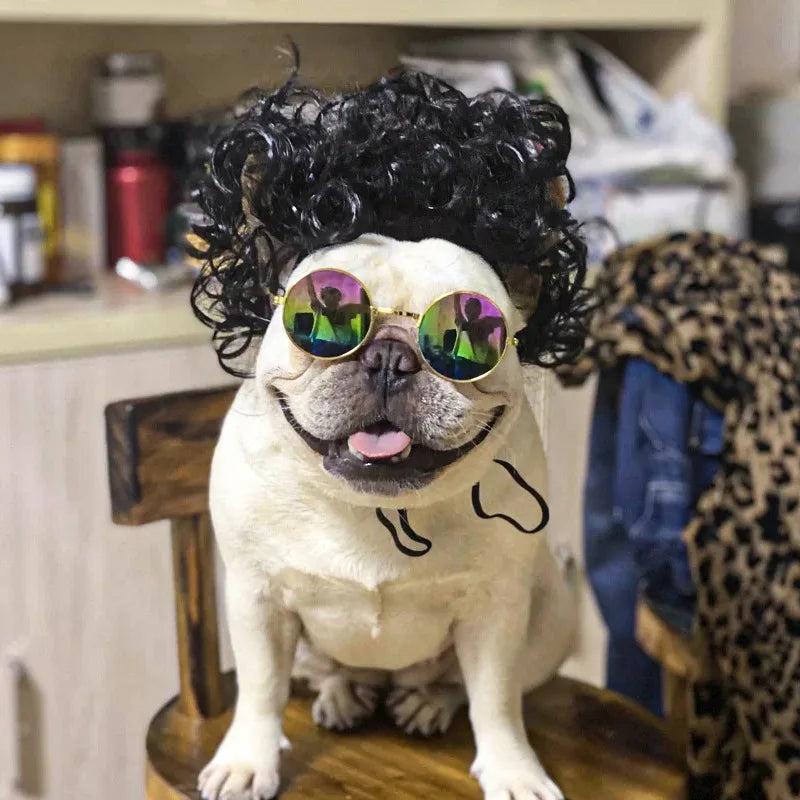 Pet Wig Cosplay Costume — Funny Hair Prop for Dogs & Cats