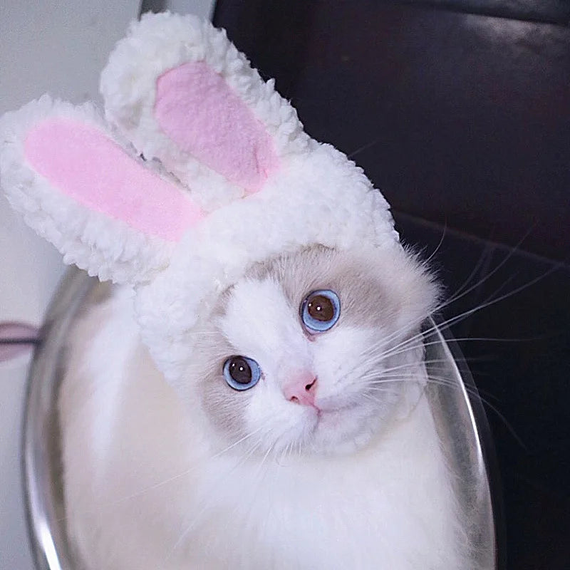Cute Lion Mane Hat for Cats & Small Dogs — Funny Pet Headgear