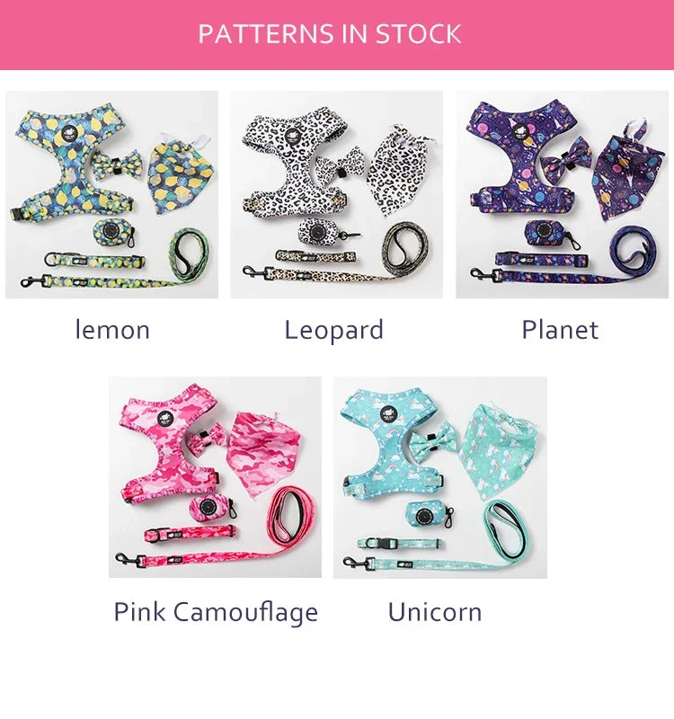 Personalized Dog Harness Suit Set — Vest, Collar, Leash, Scarf & More