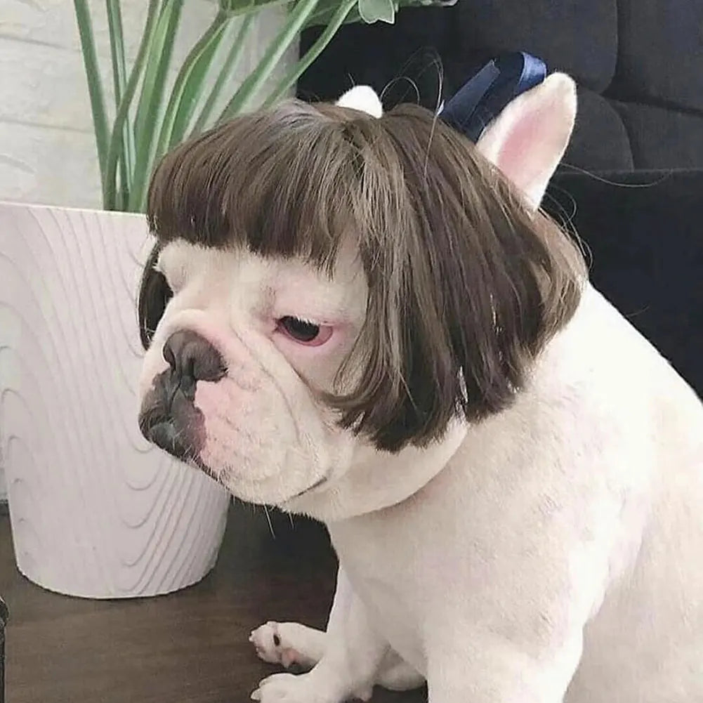 Funny Pet Cosplay Wig — Short Costume Wig for Dogs & Cats