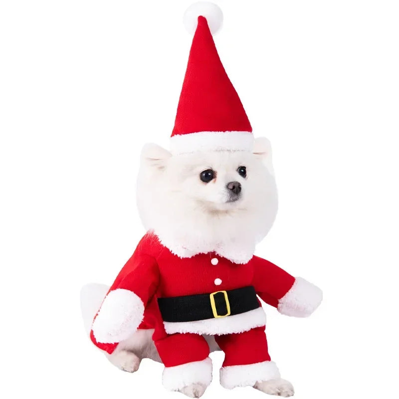Halloween 3-Piece Dog & Cat Costume Set