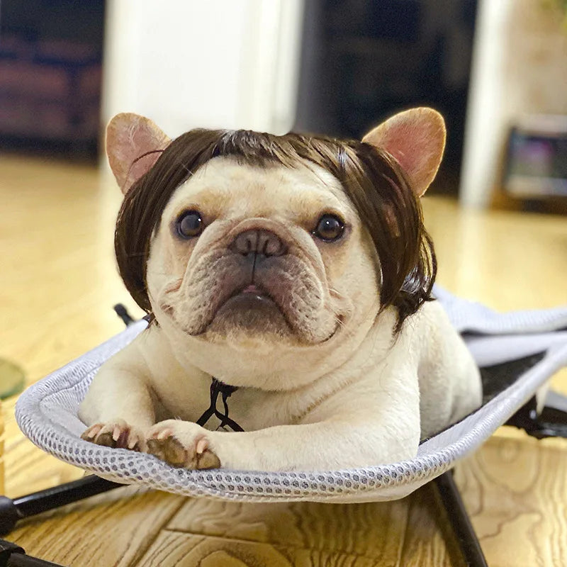 Pet Wig Cosplay Costume — Funny Hair Prop for Dogs & Cats