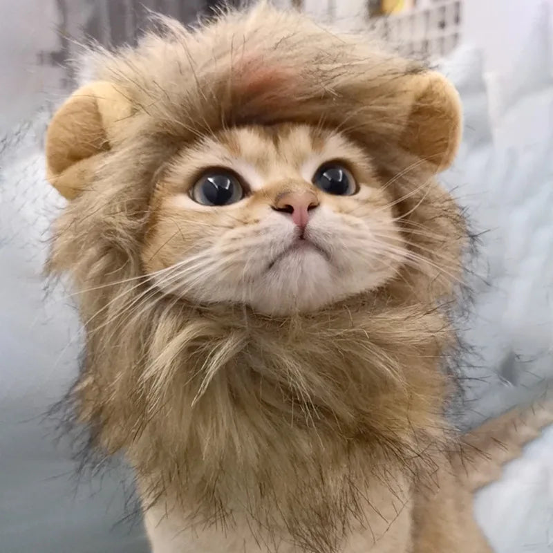 Cute Lion Mane Hat for Cats & Small Dogs — Funny Pet Headgear