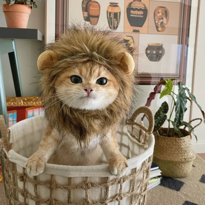 Cute Lion Mane Hat for Cats & Small Dogs — Funny Pet Headgear