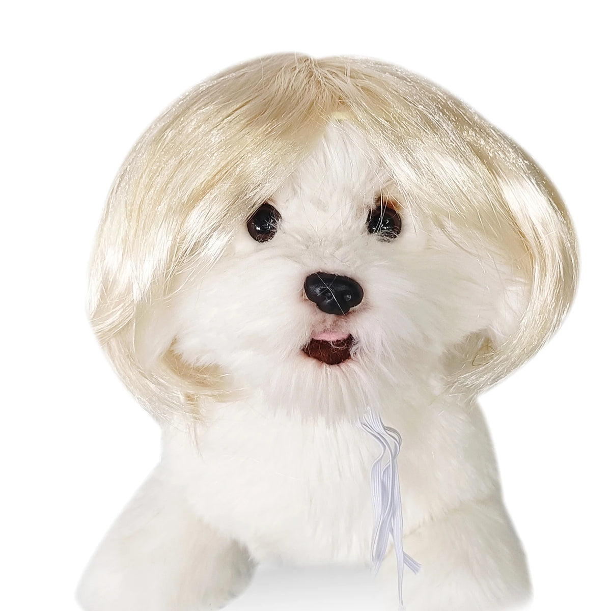 Funny Pet Cosplay Wig — Short Costume Wig for Dogs & Cats