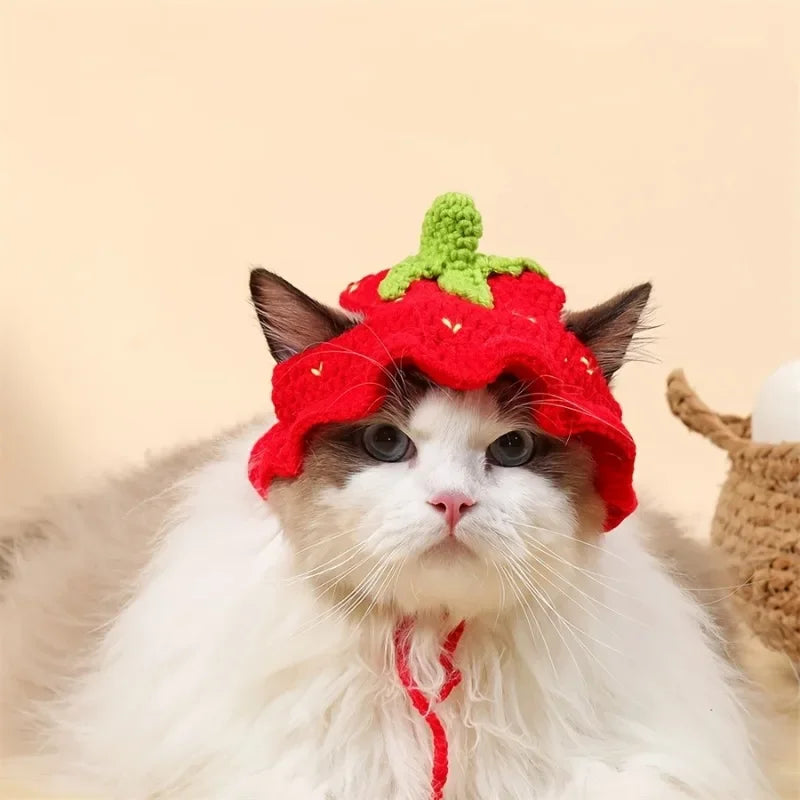 Cute Floral Pet Hat for Cats & Small Dogs