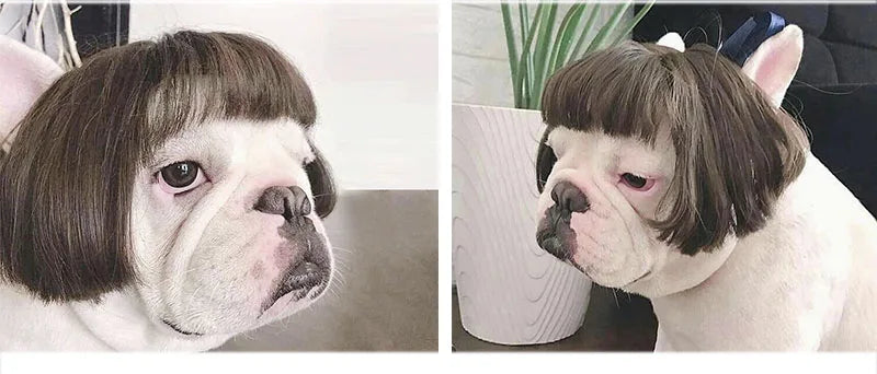 Pet Wig Cosplay Costume — Funny Hair Prop for Dogs & Cats