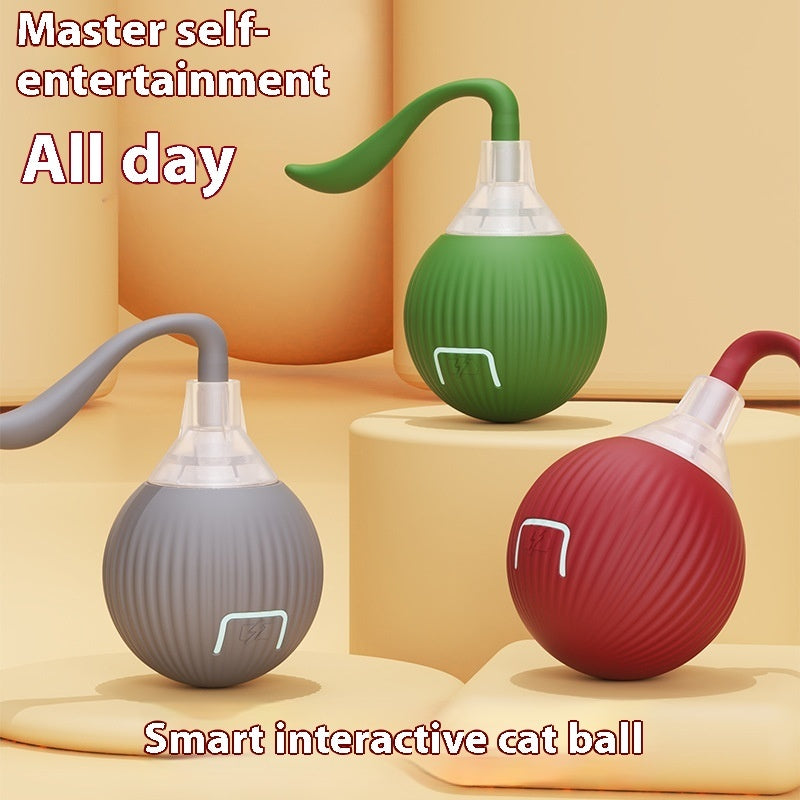 Interactive PET Toy Ball Super Drive Cat Rolling Ball