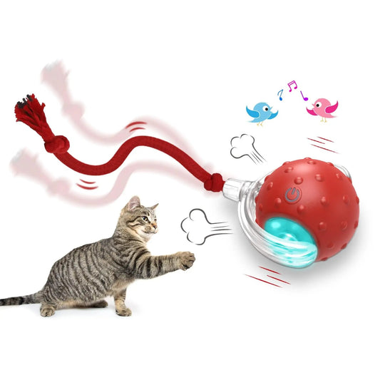 Interactive PET Toy Ball Super Drive Cat Rolling Ball